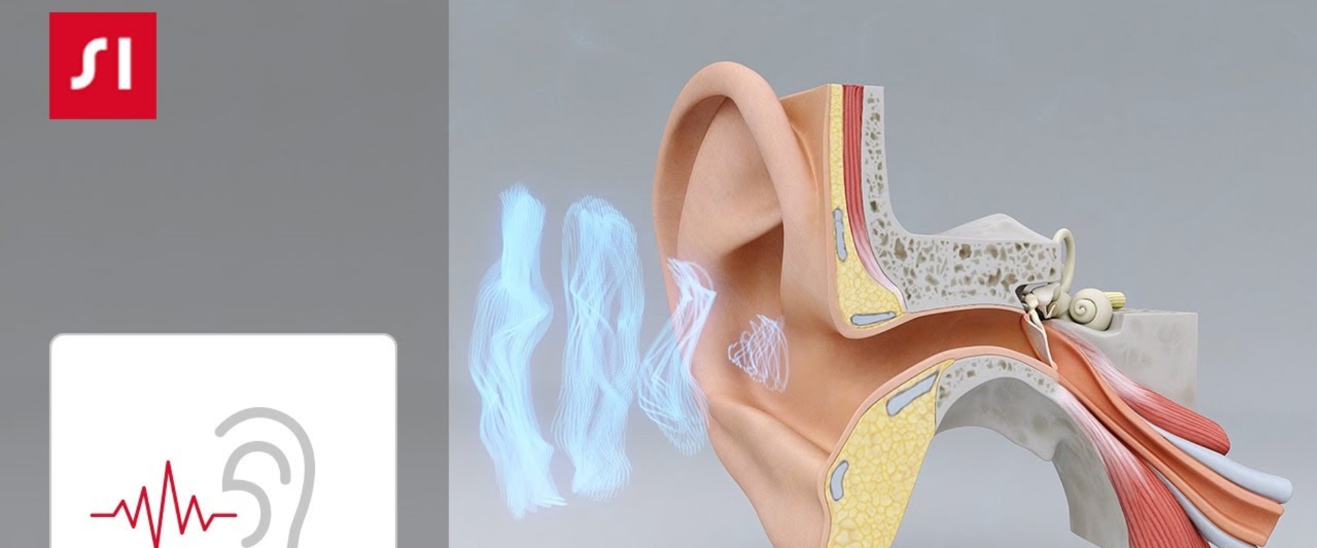 How important is crate training at night?